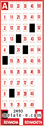 Volante ganador del sorteo 2493 de Revancha