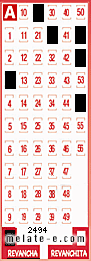 Volante ganador del sorteo 2494 de Revancha