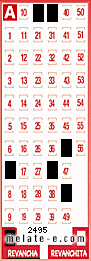 Volante ganador del sorteo 2495 de Revancha