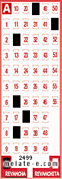Volante ganador del sorteo 2499 de Revancha