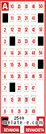 Volante ganador del sorteo 2500 de Revancha