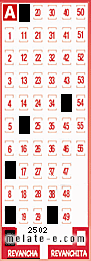 Volante ganador del sorteo 2502 de Revancha