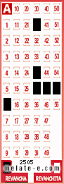 Volante ganador del sorteo 2505 de Revancha