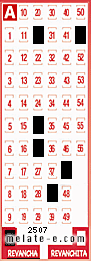 Volante ganador del sorteo 2507 de Revancha