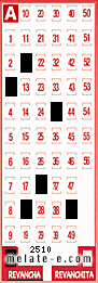 Volante ganador del sorteo 2510 de Revancha