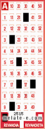 Volante ganador del sorteo 2515 de Revancha