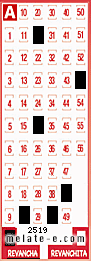 Volante ganador del sorteo 2519 de Revancha