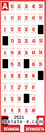 Volante ganador del sorteo 2521 de Revancha