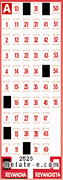 Volante ganador del sorteo 2523 de Revancha