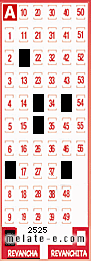 Volante ganador del sorteo 2525 de Revancha