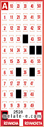 Volante ganador del sorteo 2528 de Revancha