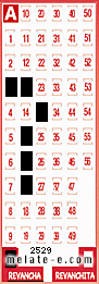 Volante ganador del sorteo 2529 de Revancha