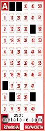 Volante ganador del sorteo 2530 de Revancha