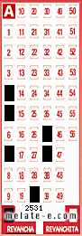 Volante ganador del sorteo 2531 de Revancha