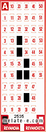 Volante ganador del sorteo 2535 de Revancha