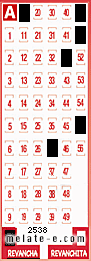 Volante ganador del sorteo 2538 de Revancha