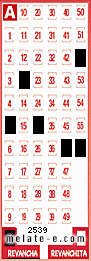 Volante ganador del sorteo 2539 de Revancha