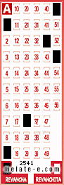 Volante ganador del sorteo 2541 de Revancha