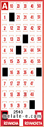 Volante ganador del sorteo 2543 de Revancha