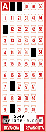 Volante ganador del sorteo 2549 de Revancha