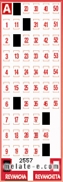 Volante ganador del sorteo 2557 de Revancha