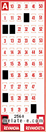 Volante ganador del sorteo 2560 de Revancha