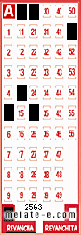 Volante ganador del sorteo 2563 de Revancha