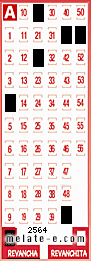 Volante ganador del sorteo 2564 de Revancha