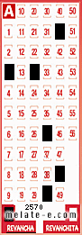 Volante ganador del sorteo 2570 de Revancha