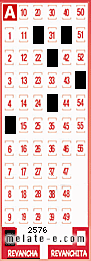 Volante ganador del sorteo 2576 de Revancha