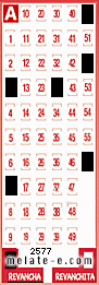 Volante ganador del sorteo 2577 de Revancha