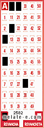 Volante ganador del sorteo 2582 de Revancha