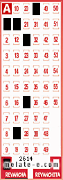 Volante ganador del sorteo 2614 de Revancha