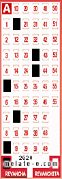 Volante ganador del sorteo 2620 de Revancha