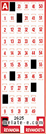 Volante ganador del sorteo 2625 de Revancha