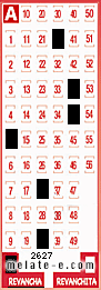 Volante ganador del sorteo 2627 de Revancha