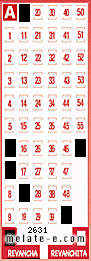 Volante ganador del sorteo 2631 de Revancha