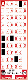 Volante ganador del sorteo 2635 de Revancha