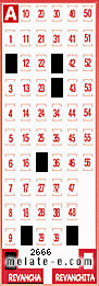 Volante ganador del sorteo de Revancha con fecha del domingo  23 de junio de 2013