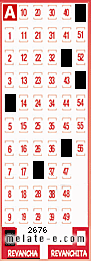 Volante ganador del sorteo de Revancha con fecha del domingo  28 de julio de 2013