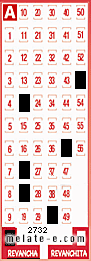 Volante ganador del sorteo de Revancha con fecha del domingo   9 de febrero de 2014