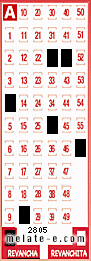Volante ganador del sorteo 2805 de Revancha