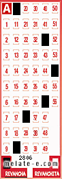 Volante ganador del sorteo 2806 de Revancha