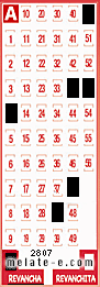 Volante ganador del sorteo 2807 de Revancha