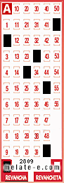 Volante ganador del sorteo 2809 de Revancha