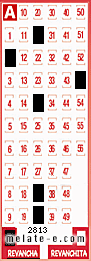 Volante ganador del sorteo 2813 de Revancha