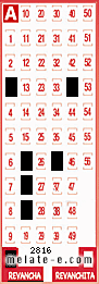 Volante ganador del sorteo 2816 de Revancha