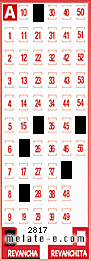 Volante ganador del sorteo 2817 de Revancha