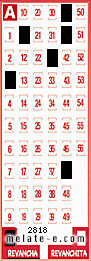 Volante ganador del sorteo 2818 de Revancha