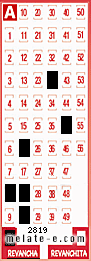 Volante ganador del sorteo 2819 de Revancha